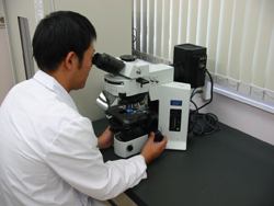 蛍光顕微鏡による クリプトスポリジウム・ジアルジア分析